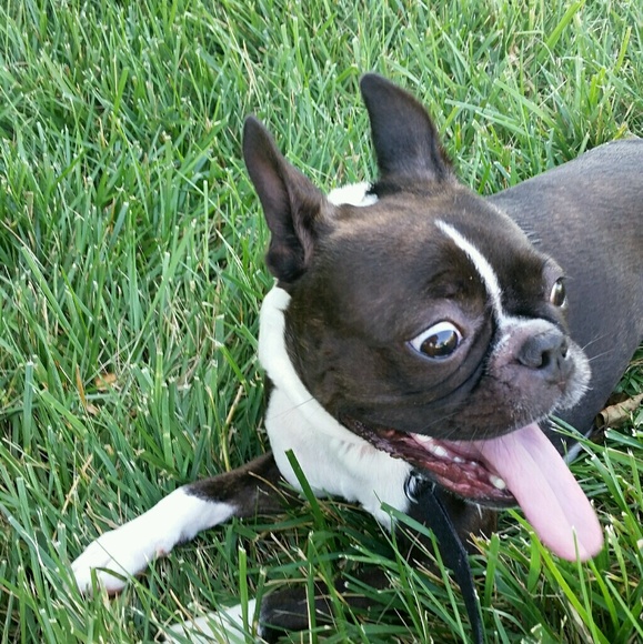 Meet your Posher, Lisa - Picture 1 of 1